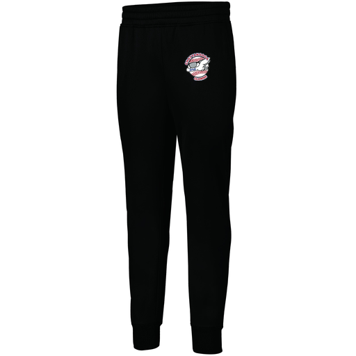 [5566.080.XS-LOGO1] Men's PERFORMANCE FLEECE JOGGER (Adult XS, Black, Logo 1)