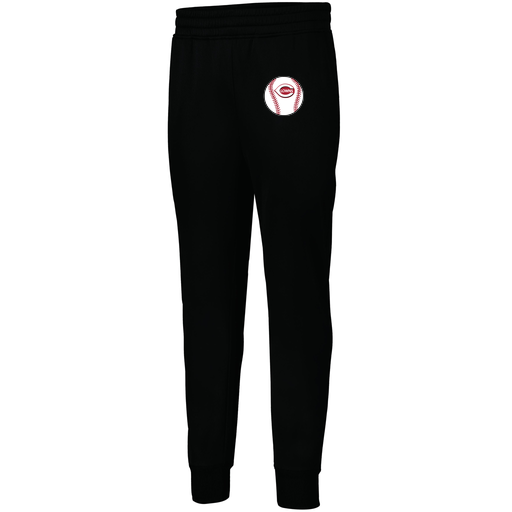 [5566.080.XS-LOGO2] Men's PERFORMANCE FLEECE JOGGER (Adult XS, Black, Logo 2)