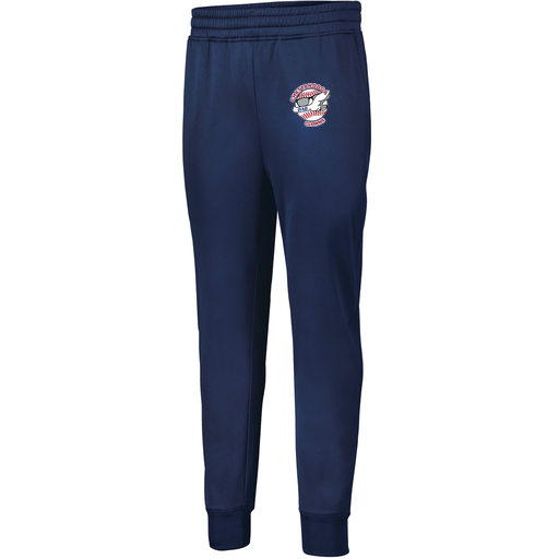 [5566.065.XS-LOGO1] Men's PERFORMANCE FLEECE JOGGER (Adult XS, Navy, Logo 1)